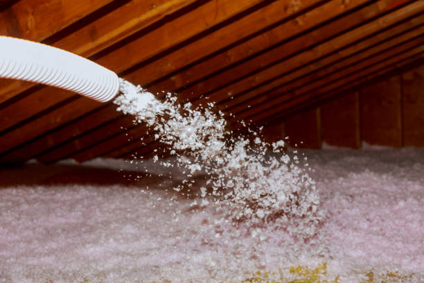 Best Types of Insulation in Sierra Ridge, CO