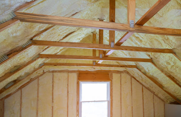 Best Residential Insulation in Sierra Ridge, CO