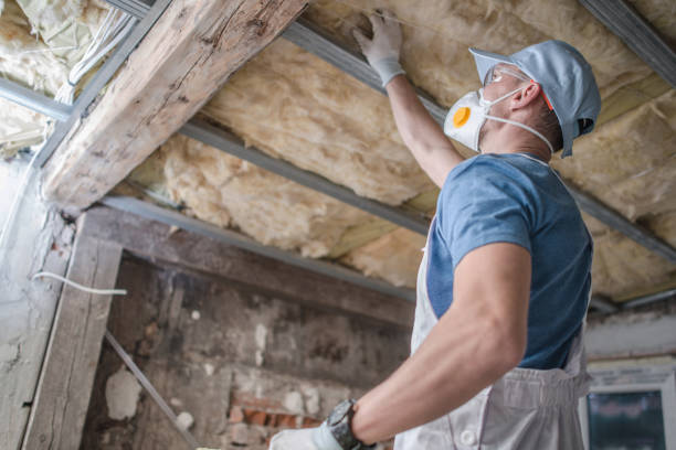 Best Insulation Installation Services in Sierra Ridge, CO